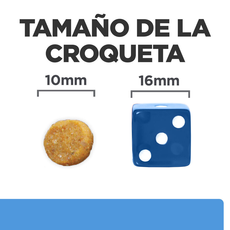 12 kg Hill's Prescription Diet Food Sensitives d/d Pato pienso para perros, , large Imagen numero 8